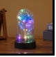 Rose in Glass Dome Cover with Twinkle Lights