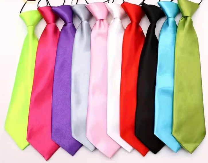 Elastic Quick Tie