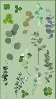 Plant Series Crystal Clear PET Scrapbook Sticker Sheet