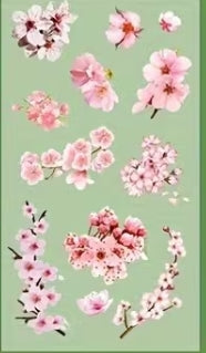 Plant Series Crystal Clear PET Scrapbook Sticker Sheet