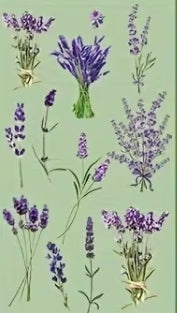 Plant Series Crystal Clear PET Scrapbook Sticker Sheet