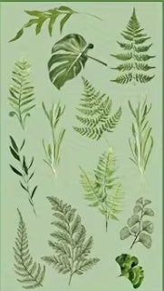 Plant Series Crystal Clear PET Scrapbook Sticker Sheet