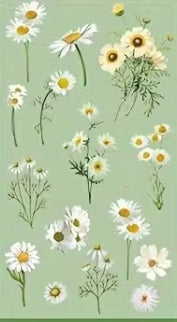 Plant Series Crystal Clear PET Scrapbook Sticker Sheet