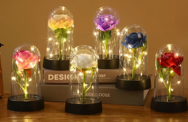 Rose in Glass Dome Cover with Twinkle Lights