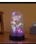 Rose in Glass Dome Cover with Twinkle Lights