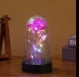 Rose in Glass Dome Cover with Twinkle Lights