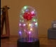 Rose in Glass Dome Cover with Twinkle Lights