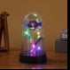 Rose in Glass Dome Cover with Twinkle Lights