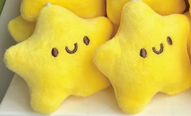 Yellow Star Keychain