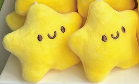 Yellow Star Keychain