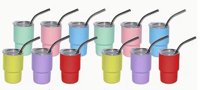 Mini Stainless-Steel Tumbler with Straw