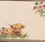 Highland Cow Sticky Notes 3.0X3.0inch