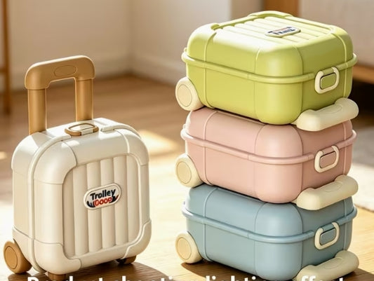Compact Small Trolley Carrying Case