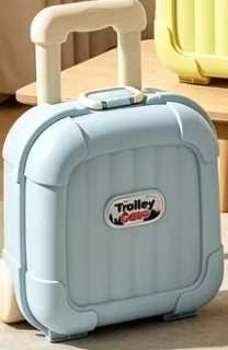 Compact Small Trolley Carrying Case