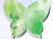 Butterfly Sticky notes